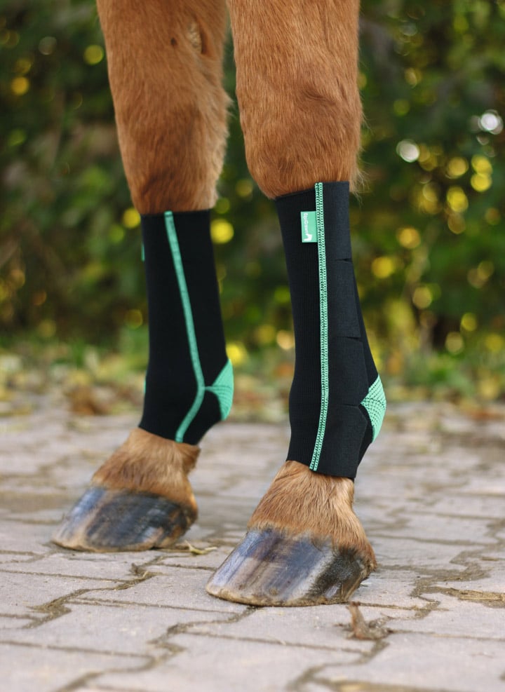 EquiCrown active Lifestyle