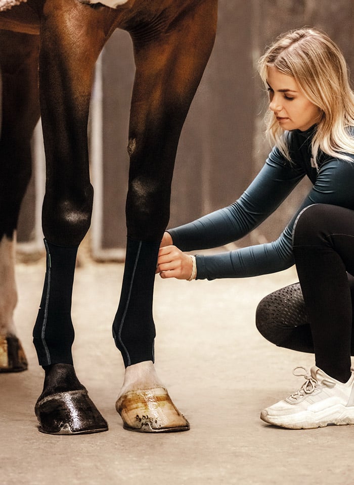 Pferdebesitzerin zieht ihrem Pferd EquiCrown active Kompressionsbandage mit Reißverschluss an