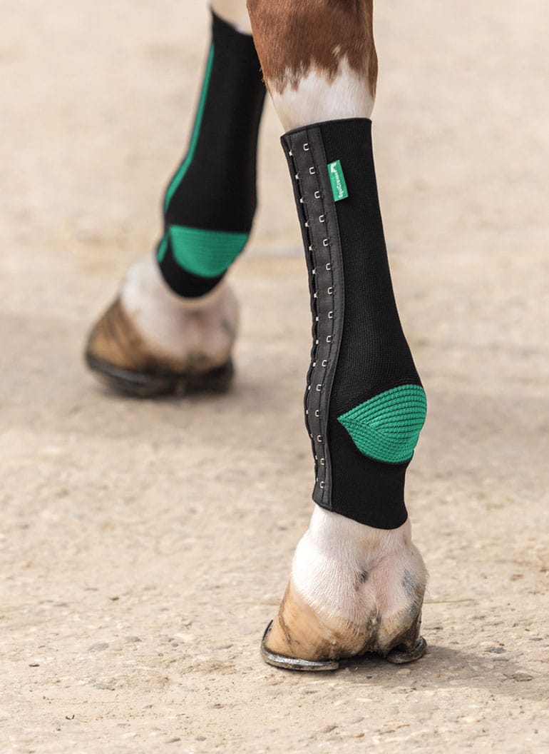 EquiCrown fit Bandage für Pferde mit anpassbaren Haken