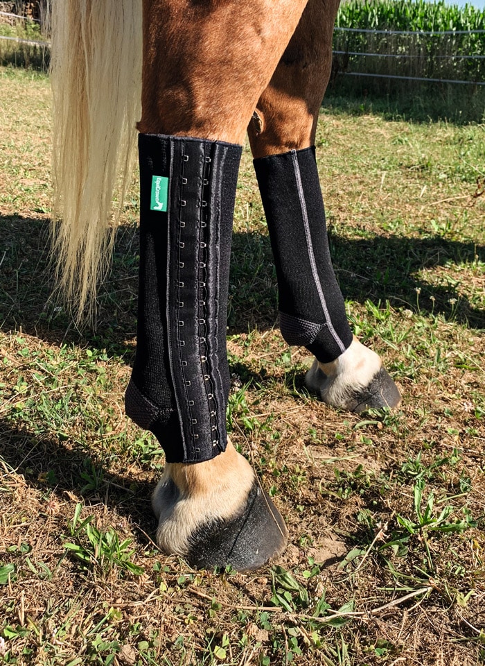 EquiCrown fit auf der Koppel