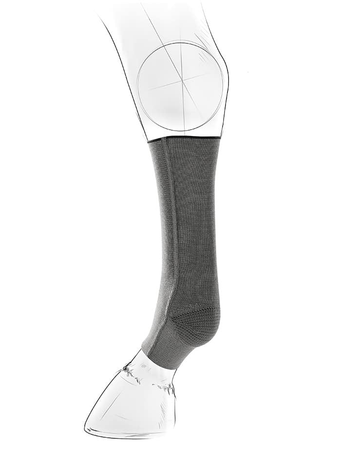 Chaussette de compression cheval Equicrown Fit silver care