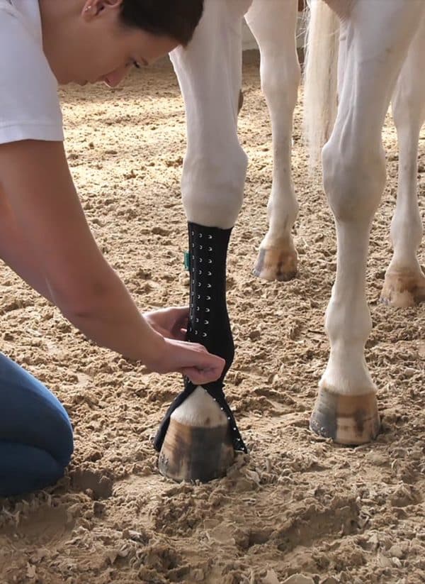 EquiCrown med anlegen