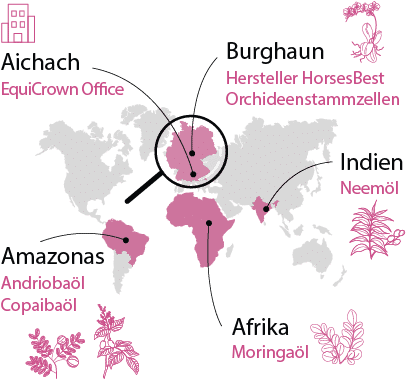 Weltkarte Produktionsorte EquiCrown SkinRelief. Zu sehen ist Aichach (EquiCrown Office), Burghaun (Hersteller HorsesBest Orchideenstammzellen), Indien (Neemöl), Afrika (Moringaöl) und der Amazonas (Andriobaöl, Copaibaöl)