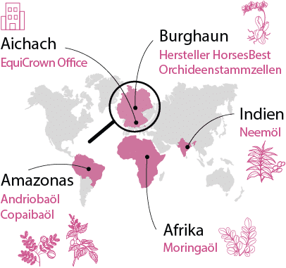 Weltkarte Produktionsorte EquiCrown SkinRelief