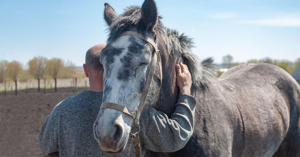 Mann umarmt sein altes Pferd