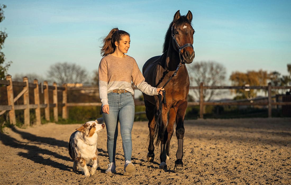 Pferdebesitzerin läuft mit Hund und Pferd
