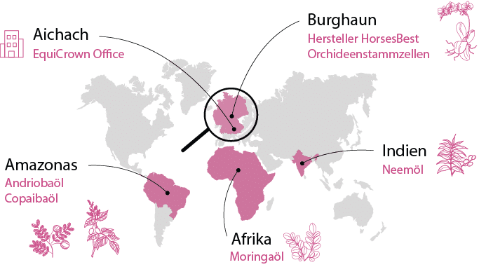 Weltkarte Produktionsorte EquiCrown SkinRelief. Zu sehen ist Aichach (EquiCrown Office), Burghaun (Hersteller HorsesBest Orchideenstammzellen), Indien (Neemöl), Afrika (Moringaöl) und der Amazonas (Andriobaöl, Copaibaöl)