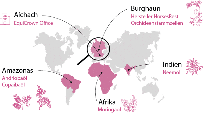 Weltkarte Produktionsorte EquiCrown SkinRelief