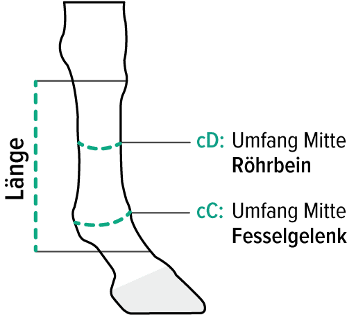 Vorderhand Maße EquiCrown