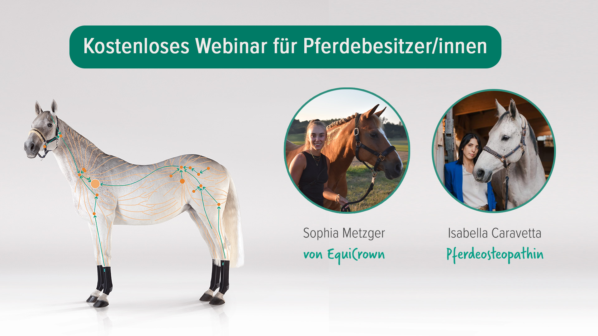 2025-online-seminare-isabella-caravetta-YT-1920x1080 Online-Seminar für Pferdebesitzer