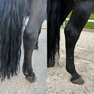 Kundenstimme Anna S. Vorher Nahher