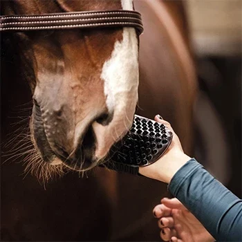 equicrown-massagestriegel-lymphdrainageputzen Pferd wird mit unserem EquiCrown Massagestriegel gestreichelt